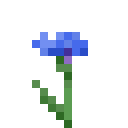 An image of the cornflower sprite from minecraft